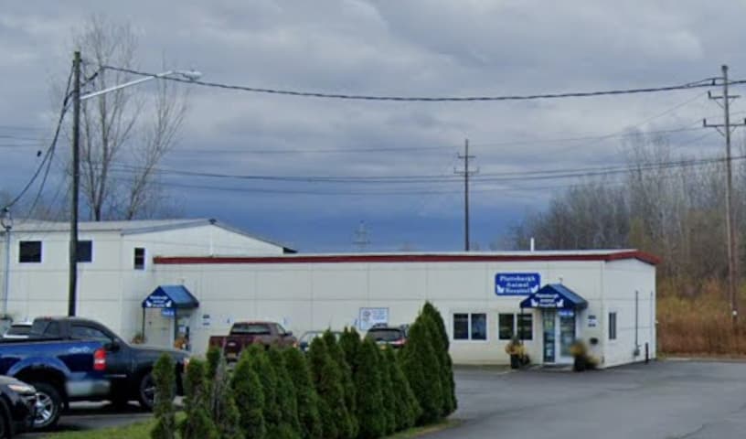 Plattsburgh Animal Hospital