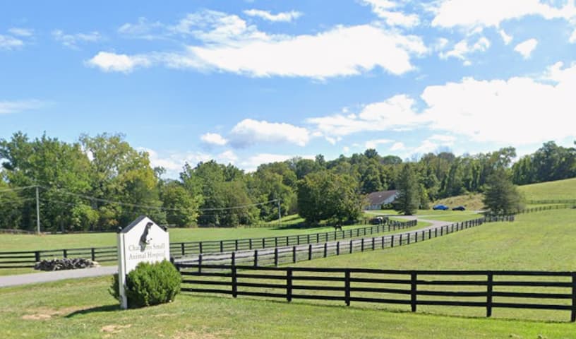 Chathams Small Animal Hospital