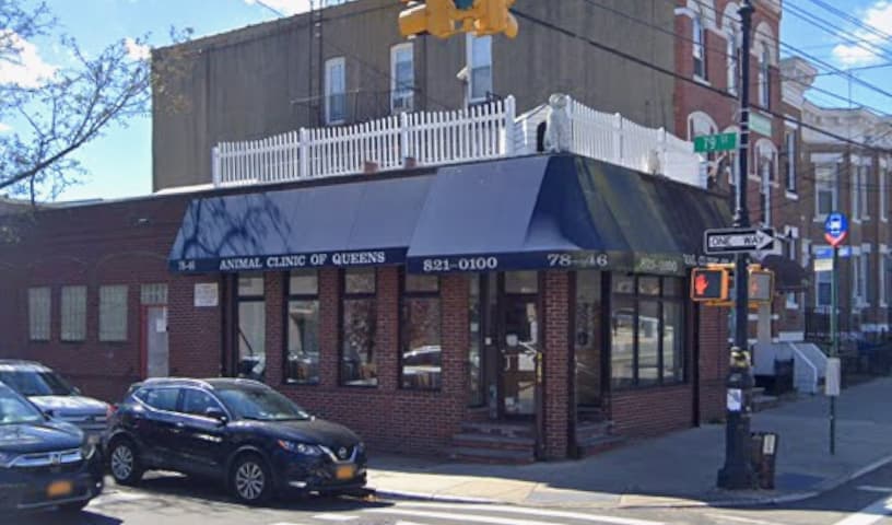 A Animal Clinic of Queens