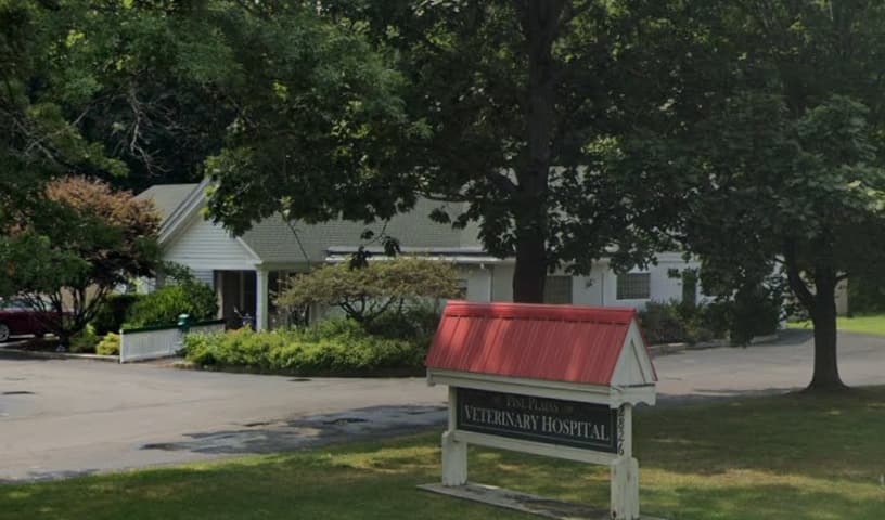 Pine Plains Veterinary Hospital