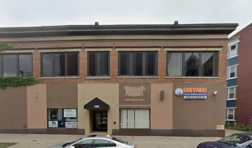 Buffalo Small Animal Hospital
