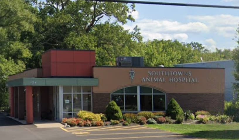 Southtowns Animal Hospital