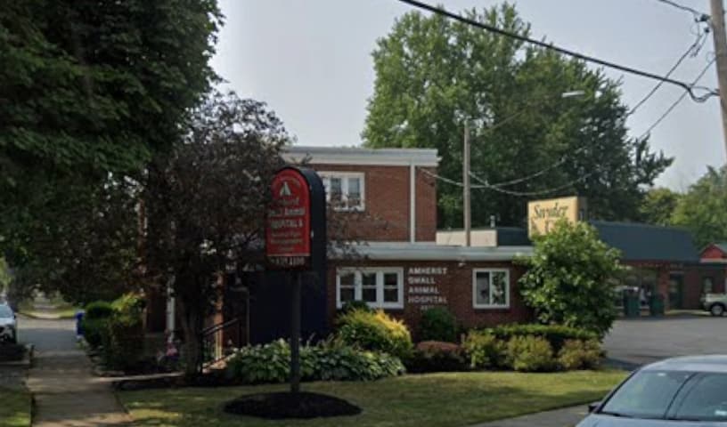 Amherst Small Animal Hospital