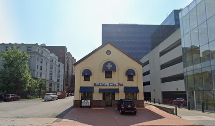 Buffalo City Vet