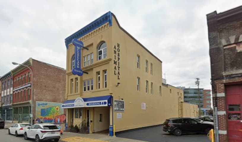 McClelland Small Animal Hospital