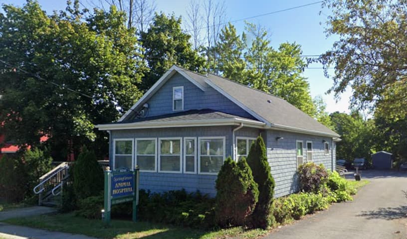 Springgrove Animal Hospital