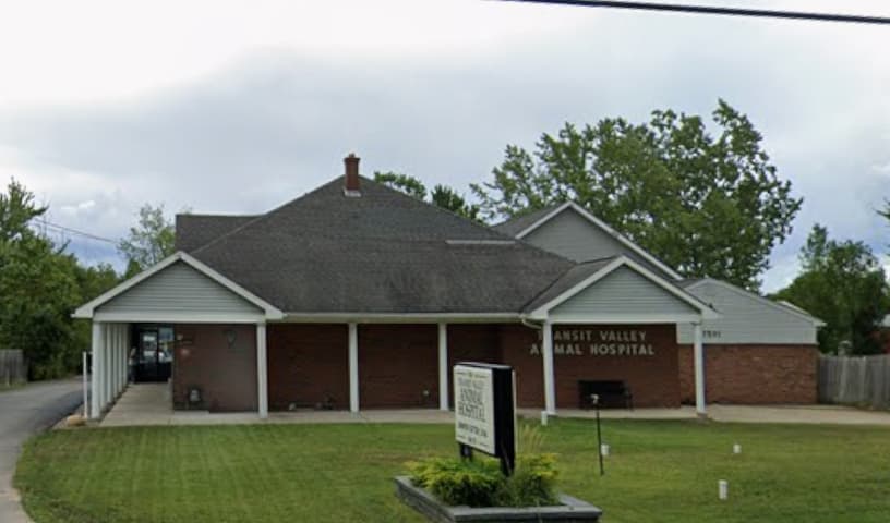 Transit Valley Animal Hospital