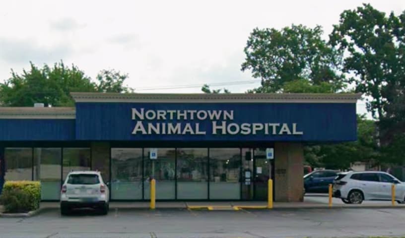 Northtown Animal Hospital