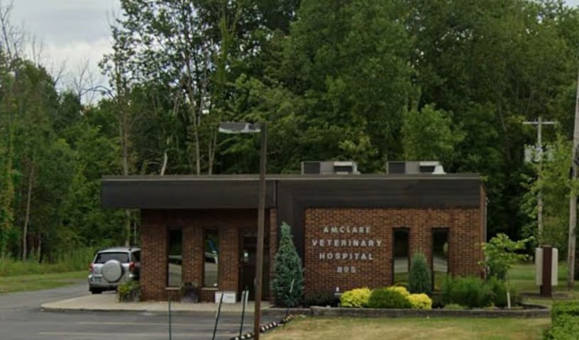 Amclare Veterinary Hospital