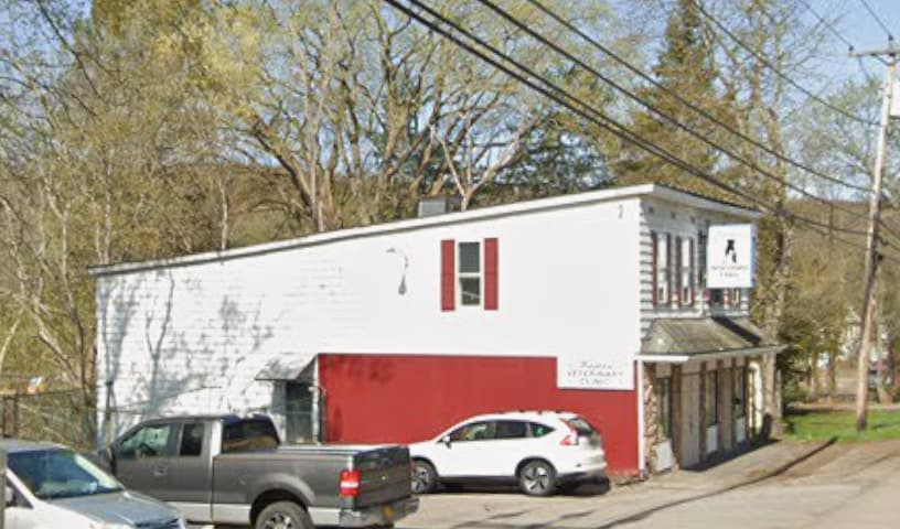 Boston Veterinary Hospital