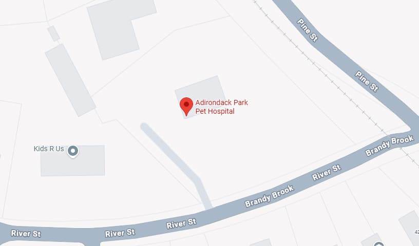Adirondack Park Pet Hospital