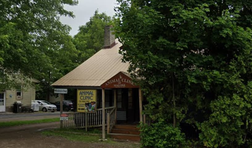 Animal Clinic of Malone