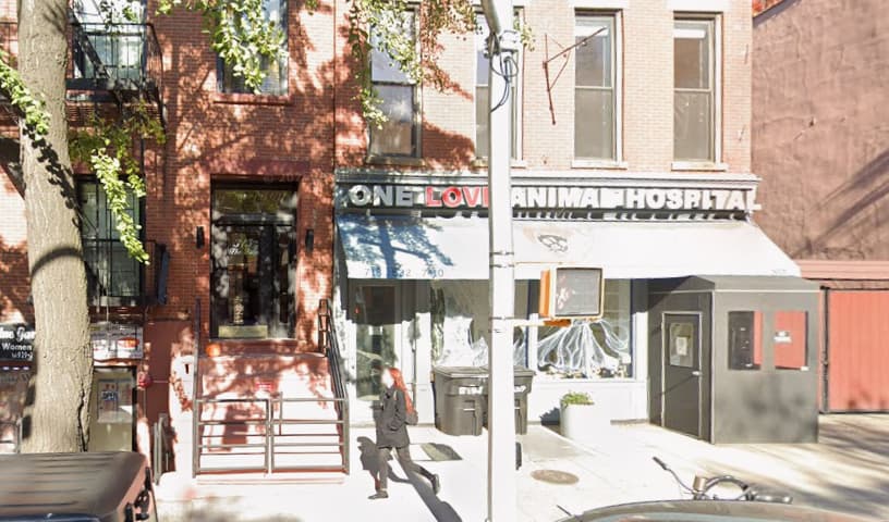 One Love Animal Hospital
