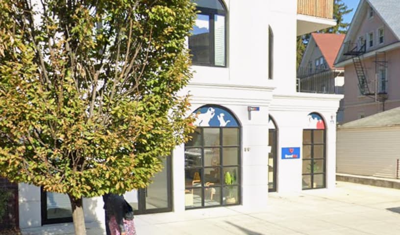 Bond Vet - Ditmas Park