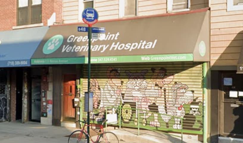 Greenpoint Veterinary Hospital