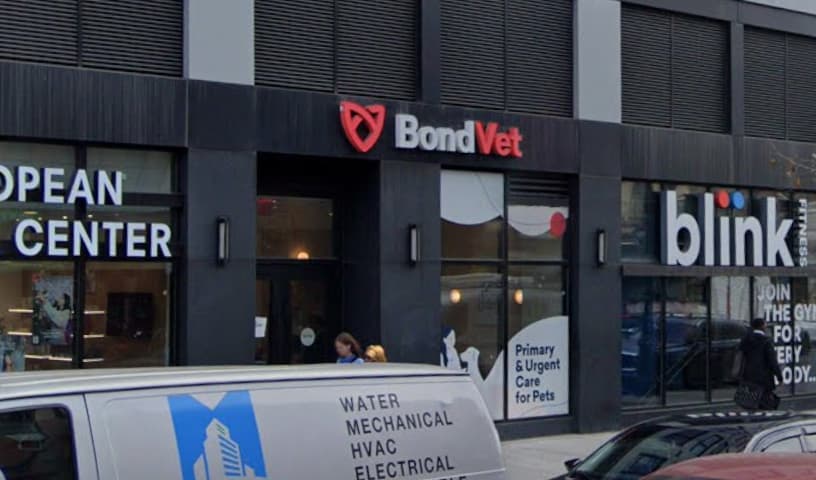 Bond Vet - Bed-Stuy