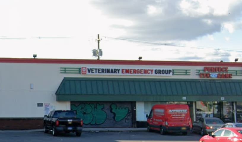 VEG ER for Pets