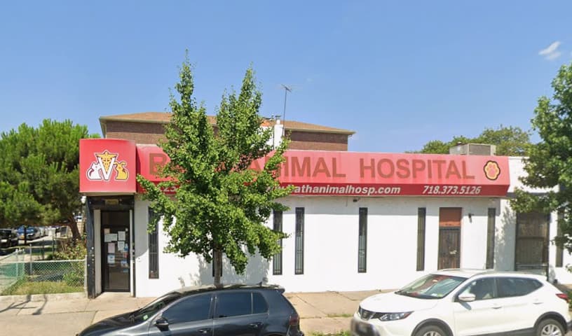 Bath Animal Hospital