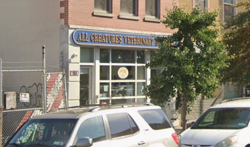 All Creatures Veterinary Hospital of Brooklyn