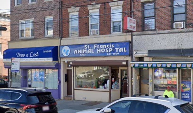 St Francis Animal Hospital