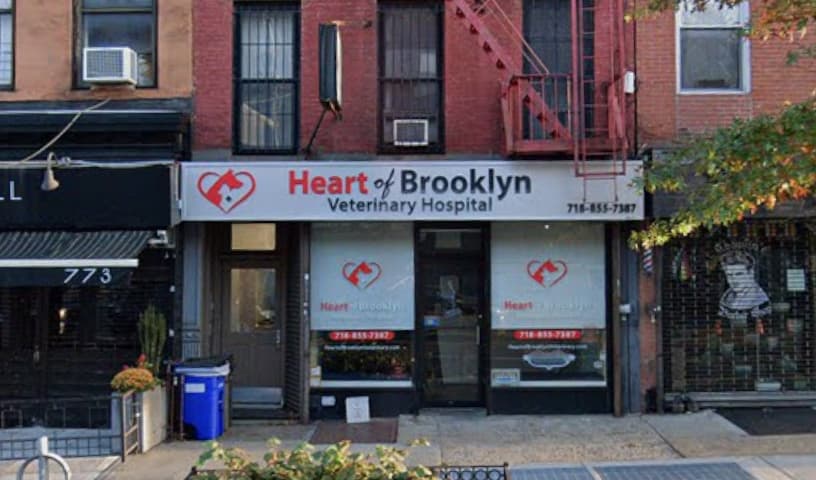 Heart of Brooklyn Veterinary Hospital - Fort Greene