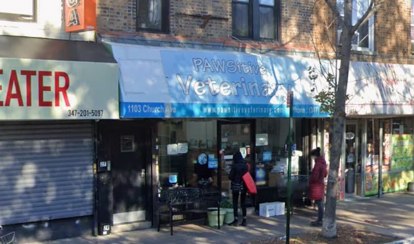 PAWSitive Veterinary of New York