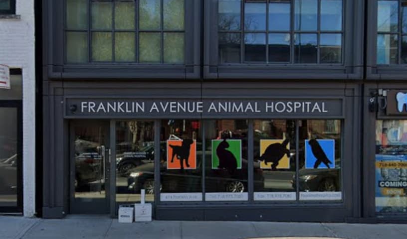 Franklin Ave Animal Hospital