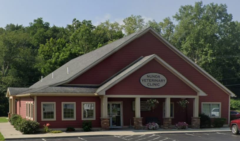 Nunda Veterinary Clinic