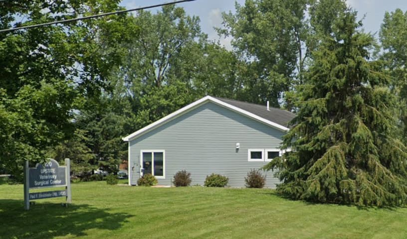 Upstate Veterinary Surgical Center