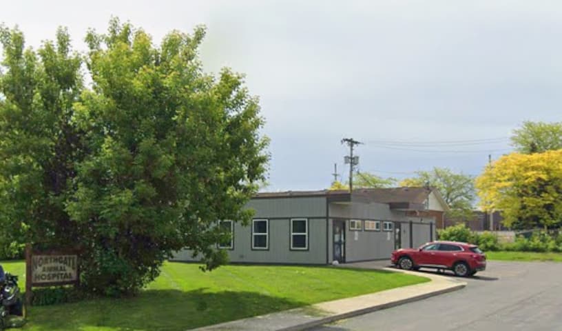 Northgate Animal Hospital