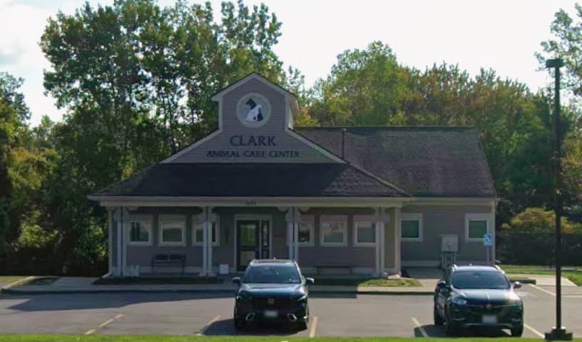 Clark Animal Care Center