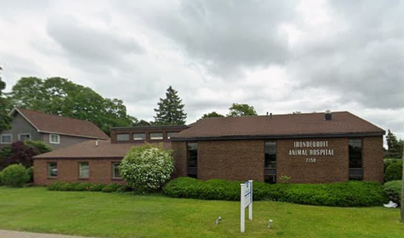 Irondequoit Animal Hospital