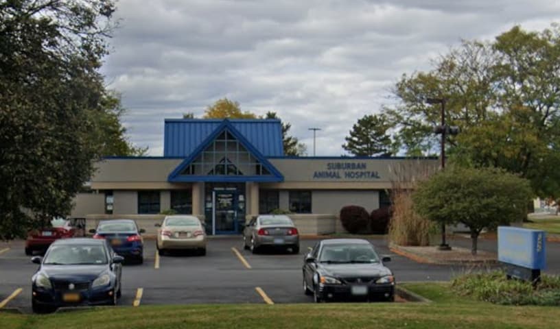 Suburban Animal Hospital