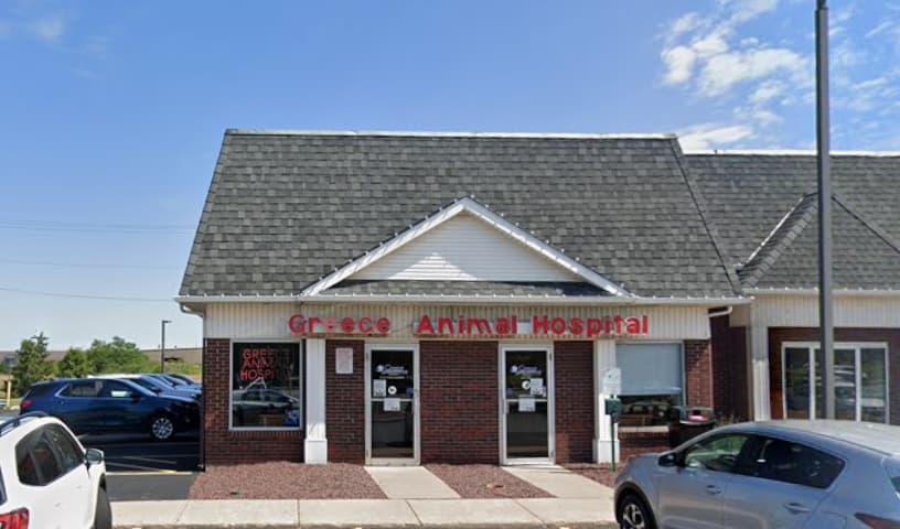 Greece Animal Hospital