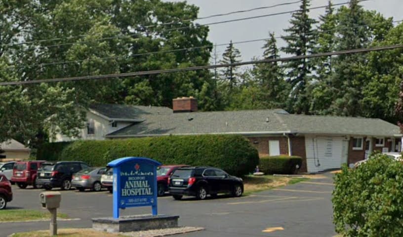Brockport Animal Hospital