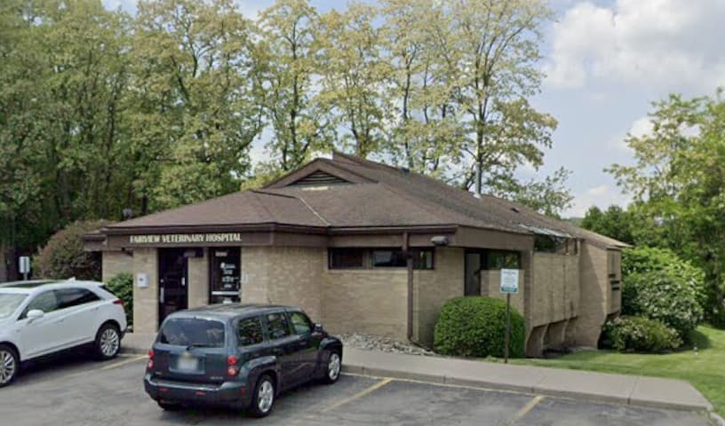 Fairview Veterinary Hospital