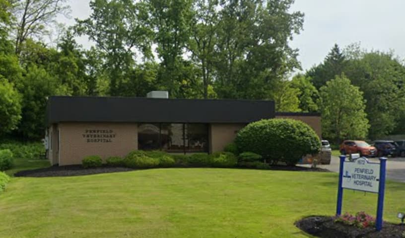 Penfield Veterinary Hospital