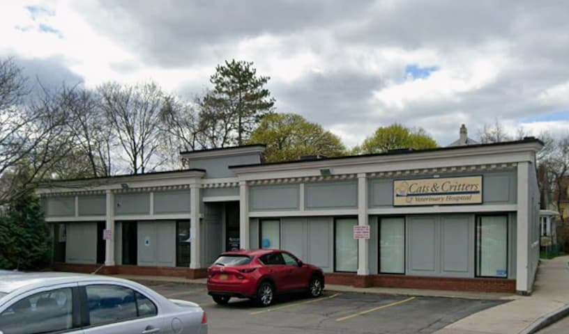 Cats & Critters Veterinary Hospital