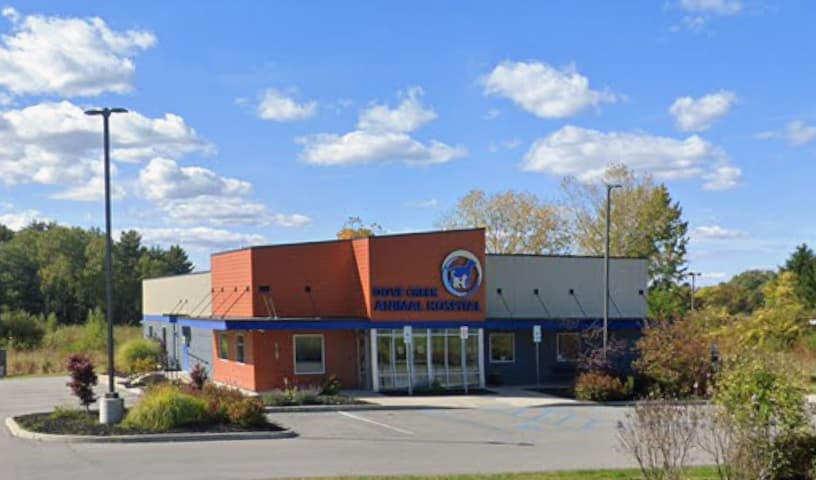 Dove Creek Animal Hospital