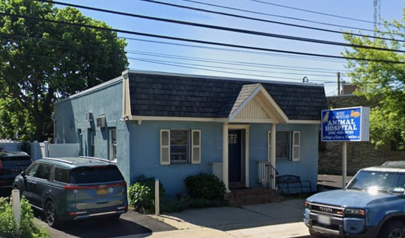 West Hempstead Animal Hospital