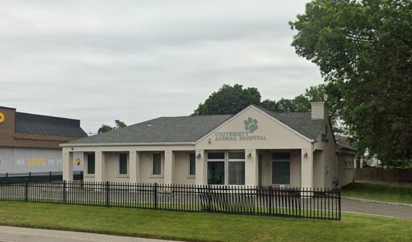 University Animal Hospital