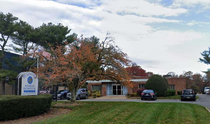 Plainview Animal Hospital