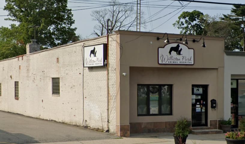 Williston Park Animal Hospital - Rehab & Acupuncture