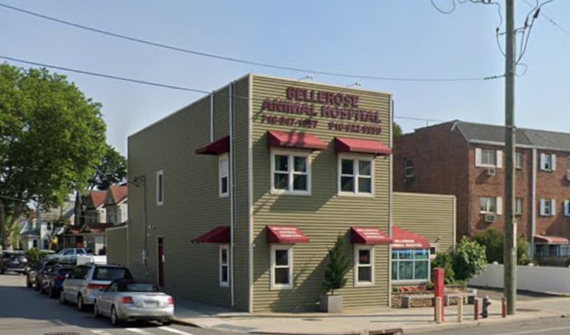 Bellerose Animal Hospital