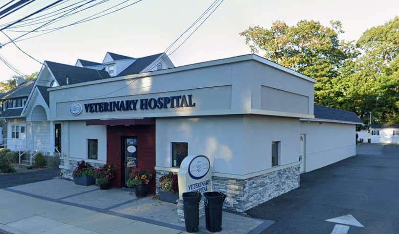 East Rockaway Veterinary Hospital