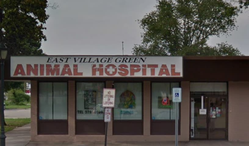 East Village Green Animal Hospital