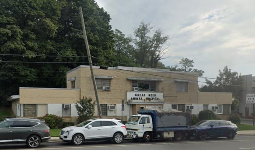Great Neck Animal Hospital