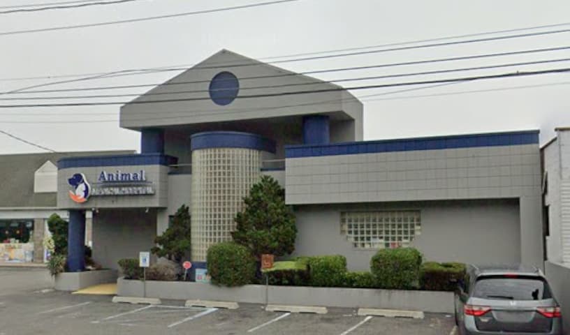 Animal Medical Hospital