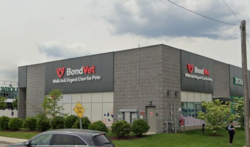Bond Vet - Garden City