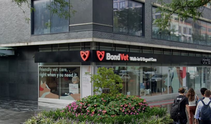 Bond Vet - Upper East Side at 62nd Street